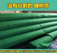 园林绿化＂树木养护带＂的选择